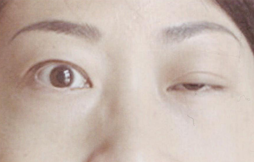 作者的個人意見